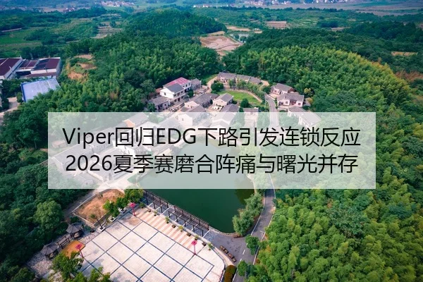Viper回归EDG下路引发连锁反应 2026夏季赛磨合阵痛与曙光并存